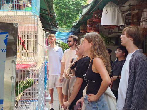 Visit Yuen Po Street Bird Garden