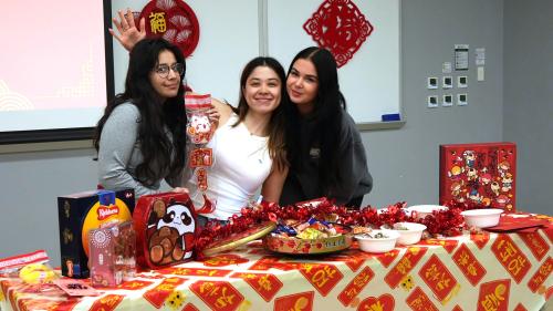 Chinese New Year Fortune